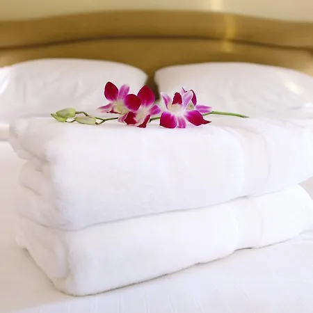 Bellini Room&breakfast 5* Porto Garibaldi